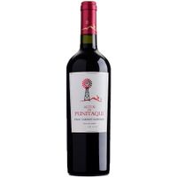 vinho-chileno-altos-de-punitaqui-VinhoSite